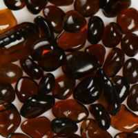 Root Beer Jelly Bean